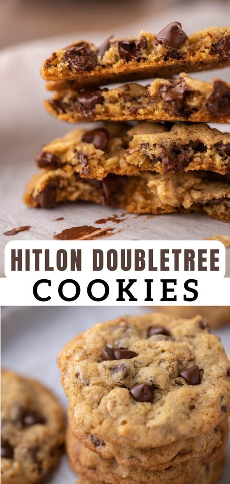 Hotel Cookies, Doubletree Chocolate Chip Cookies, Doubletree Cookie Recipe, Walnut Chocolate Chip Cookies, Doubletree Cookies, Hotel Chocolate, Chocolate Chip Blondies, Gooey Cookies, Holiday Favorite Recipes