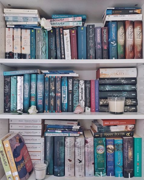 blue, pastel bookshelf aesthetic :) Blue Bookshelf Aesthetic, Pastel Bookshelf, Blue Bookshelf, Blue Bookshelves, Aesthetic Bookshelf, Bookshelf Aesthetic, Jojo Moyes, Blue Pastel, Insurgent