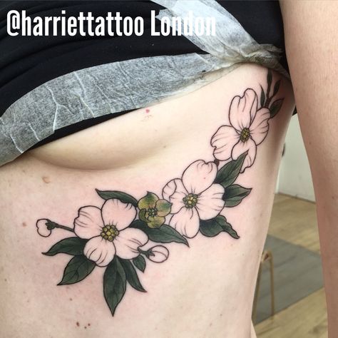 Dogwood floral rib tattoo by Harriet Hapgood Dogwood Tattoo, Dogwood Flower Tattoos, Tattoos Flowers, Tattoo For Boyfriend, M Tattoos, Single Needle Tattoo, Dogwood Flower, Dogwood Flowers, Sternum Tattoo