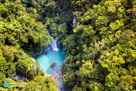 Kawasan Falls is one of the most picturesque tourist attractions in Cebu. This natural wonder has an emerald-tinged cool, natural pool that is perfect for a relaxing dip. Kawasan Falls Cebu, Cebu Island, Kawasan Falls, Cebu Philippines, Refreshing Water, Holiday Trip, Cebu City, Water Adventure, Philippines Travel