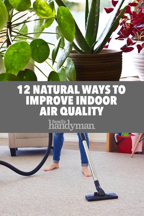 Improve Air Quality In Home, Natural Home Cleaning, Small Trees For Garden, Best Air Purifier, Trees For Front Yard, Natural Air Purifier, Diy Bowl, Itch Relief, Improve Indoor Air Quality