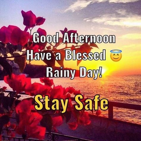 Good Afternoon Rainy Day, Afternoon Blessings, Afternoon Wishes, Morning Sayings, Good Morning Cartoon, Morning Quotes For Friends, Good Afternoon Quotes, Rainy Afternoon, Afternoon Quotes