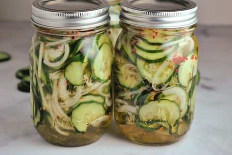 Cucumber Freezer Pickles Quick Pickle Cucumber And Onion, Pickled Cucumber Slices, Cucumber Refrigerator Pickles, Cucumber Freezer Recipes, Pickled Cucumbers And Onions Vinegar, How To Make Cucumber Pickles, Pickled Red Onions And Cucumbers, Pickled English Cucumbers, Pickled Green Onions