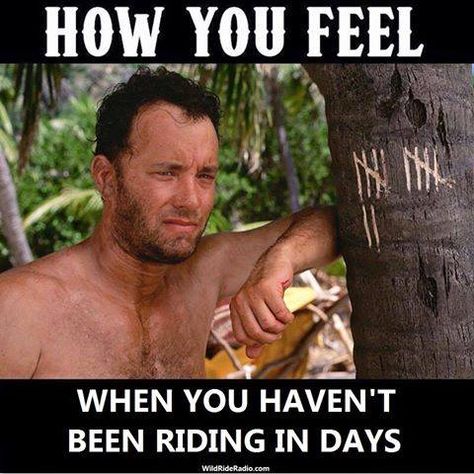 Sturgis ® Motorcycle Rally  www.sturgismotorcyclerally.com Motorcycle Memes, Motorcycle Humor, Horse Jokes, Aviation Humor, Bike Quotes, Biker Quotes, Funny Horses, Ju Jitsu, Golf Quotes