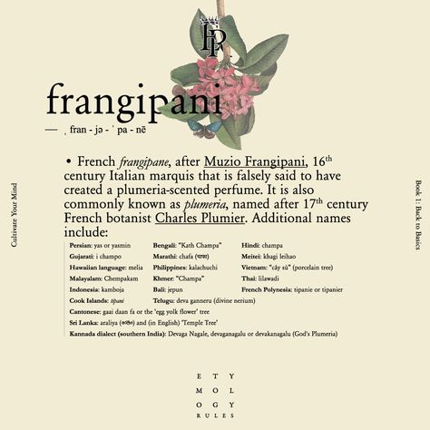 Frangipani Perfume, Hibiscus Flower Meaning, Everskies Profile, Polynesian Dance, Scientific Drawing, Frangipani Flower, Ocean Girl, Print Journal, Flower Meanings