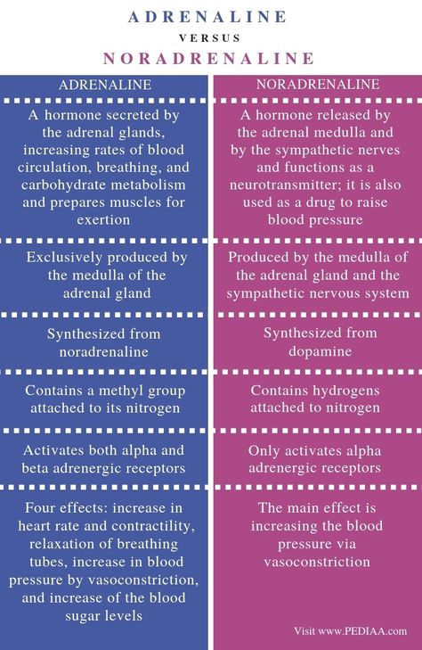 Differences between adrenaline and noradrenaline - hormones and neurotransmitters Found on Google Memes Nursing, Adrenal Medulla, Sympathetic Nervous System, Nursing Pictures, Psychology Notes, Funny Nursing, Study Biology, Medical Student Study, Biology Facts