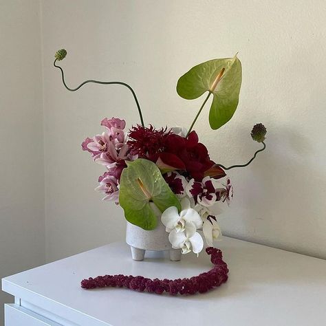 All Posts • Instagram Floral Arrangement, Ikebana, I Love It, Floral Arrangements, Love It, Orchids, Flower Arrangements, Floral Design, I Love