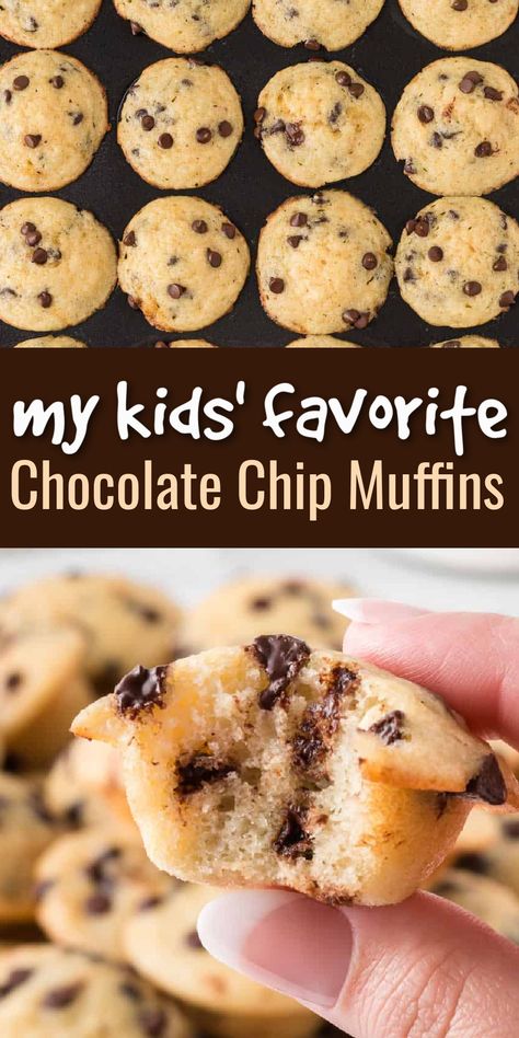 My kids always request these chocolate chip mini muffins! They're easy to make, healthy, and delicious! Healthy Chocolate Mini Muffins, Mini Muffins For Kids Healthy, Healthy Mini Muffins For Toddlers, Healthy Chocolate Muffins For Kids, Mini Muffin Tin Recipes Healthy, Protein Mini Muffins For Kids, Easy Healthy Muffins For Kids, Healthy Kid Muffins, Homemade Little Bites Muffins