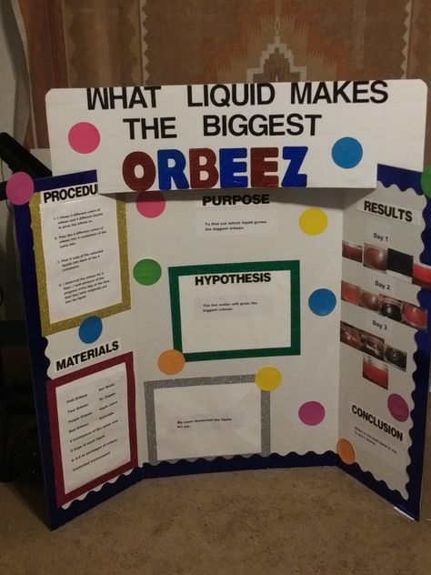 I think this idea is great and super easy ❤ 😍 Easy 4th Grade Science Fair Projects, Math Fair Ideas, 7th Grade Science Fair Projects Ideas, Science Fair Projects 5th Grade, Grade 4 Science Fair Projects Ideas, Science Fair Ideas 7th Grade, Science Fair Projects For Middle School, Seventh Grade Science Fair Project Ideas, Science Fair Ideas Elementary