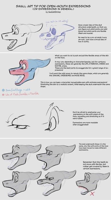 Anthro Anatomy, Drawing Facial Expressions, Anthro Reference, Anthro Design, Face Studies, Tips For Drawing, Quick Art, Dragon Heads, Animation Ideas