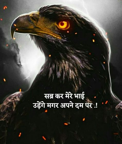 Lion Attitude, Sigma Quotes, Maa Parvati, Best Attitude Quotes, Motivational Quotes For Success Positivity, Quotes In Hindi Attitude, Motvational Quotes, Song Images, Success Pictures