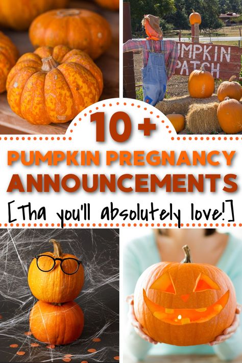 Are you looking for pumpkin pregnancy announcements? We've got 20 unique pumpkin baby announcements that are perfect for fall! Fall pregnancy announcements using pumpkins! Pumpkin Birth Announcement, Pumpkin Carving Baby Announcement, Pumpkin Carving Pregnancy Announcement, Pumpkin Patch Baby Announcement, Pumpkin Patch Pregnancy Announcement, Pregnancy Announcement Pumpkin, Unique Pregnancy Announcement Ideas, Pumpkin Baby Announcement, Pumpkin Pregnancy Announcement