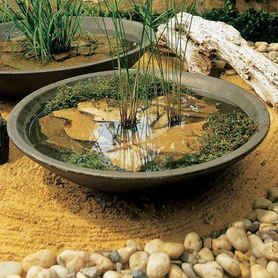 Aquaponics Fish, Meteor Garden 2018, Urn Planters, Magic Garden, Kew Gardens, Covent Garden, Plastic Pots, Outdoor Planters, Shade Garden