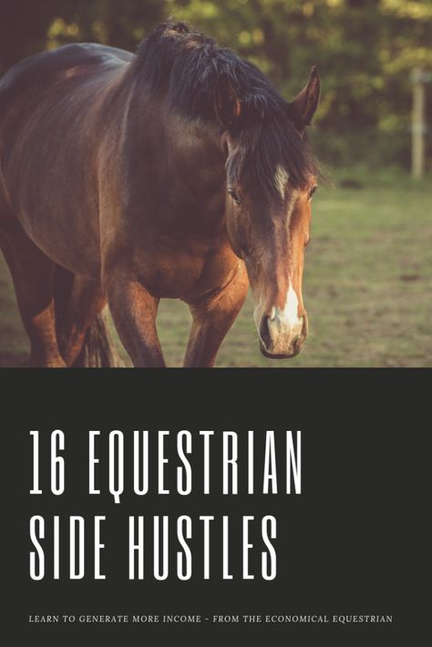 Dressage Quotes, Saddle Club, Horse Ownership, Barn Hacks, Agriculture Business, Start A Side Hustle, Horses Equestrian, Horse Ideas, Equestrian Helmet