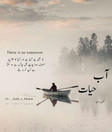 Abe Hayat Novel Quotes In Urdu, Abe Hayat Novel, Novel Quotes In Urdu, Abe Hayat, There Is No Tomorrow, Famous Book Quotes, Novelist Quotes, Romantic Novels To Read