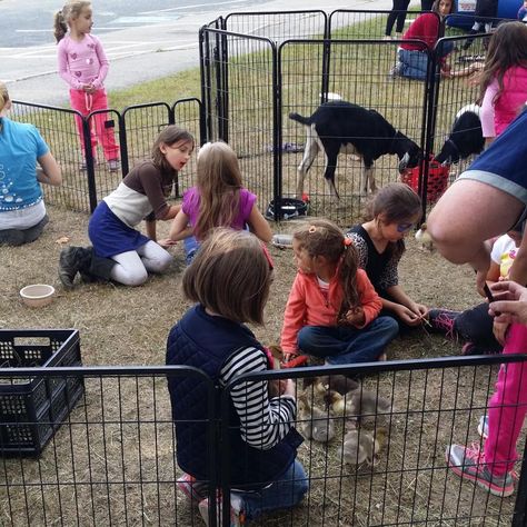 Petting Zoo Trunk Or Treat, Mobile Petting Zoo, Petting Farm, Fall Fair, Library Programming, Zoo Ideas, Farm Fun, Tiny Village, Outdoor Park