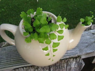 Teapot Planter, Recycled Planters, Garden Whimsy, Plant Images, Unique Planter, Big Garden, White Pottery, Terrarium Plants, Flower Planters