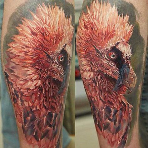 Bearded vulture tattoo Realistic Bird Tattoo, Vulture Tattoo, Colorful Bird Tattoos, Bearded Vulture, Dog Paw Tattoo, Best Tattoo Ideas, Body Tattoo, Realistic Tattoo, World Tattoo