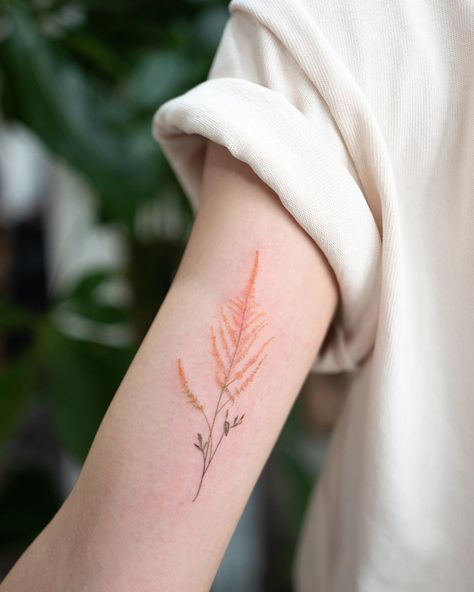 HONGDAM 홍담 on Instagram: “Astilbe Flower @hongdamstudio” Astilbe Tattoo, Flowers On Nails, Astilbe Flower, Pretty Tattoo, First Tattoo, Pretty Tattoos, Tattoo Idea, Maple Leaf Tattoo, Something Special