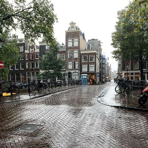 Amsterdam | Travel community on Instagram: “✨Rainy Amsterdam 🇳🇱 ✨ ✖️✖️✖️🇳🇱 📸Nice photo and story  by @vidalaranja ✈️FOUNDER: @marknayman ⠀⛵🚲✈️✨⛵⠀⠀🏡✈️⠀🇳🇱🌷 🚲Tag your photo with tag…” Rainy Amsterdam, Netherlands Aesthetic, Amsterdam Aesthetic, Amsterdam Photos, The Hague Netherlands, Train Trip, Living In Amsterdam, Fast Life, I Amsterdam