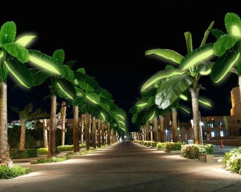 public lighting Energy Inspiration, Solar Tree, Palm Tree Lights, Solar Panel Lights, Solar Christmas Lights, Solar Powered Lamp, Solar Lighting, Solar Power Diy, Solar Module