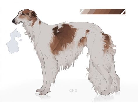 Borzoi Drawing Reference, Borzoi Reference, Borzoi Dog Art, Dog Hybrid Oc, Borzoi Dog Drawing, Borzoi Drawing, Borzoi Art, Dog Oc, Dog Design Art