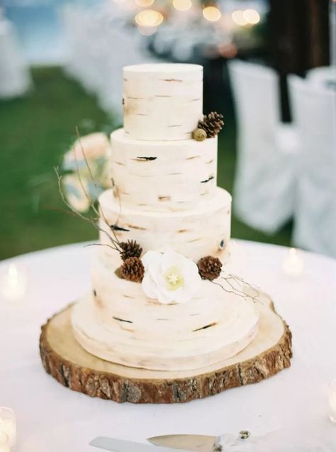 25 Outdoor Wedding Cake Ideas for the Outdoorsy Couple Wedding Decorations Pastel, Birch Tree Wedding Cake, Wedding Rustic Cake, Blair Wedding, Forest Wedding Ideas, Greenery Cake, Tree Wedding Cake, Outdoor Wedding Cake, Forest Wedding Decorations