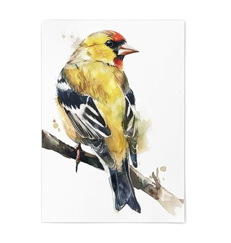 Goldfinch Bird, Hummingbird Illustration, Illustration Bird, American Goldfinch, Bird Watcher Gifts, Watercolor Hummingbird, Spring Wall Art, Wall Art Farmhouse, Wildlife Decor