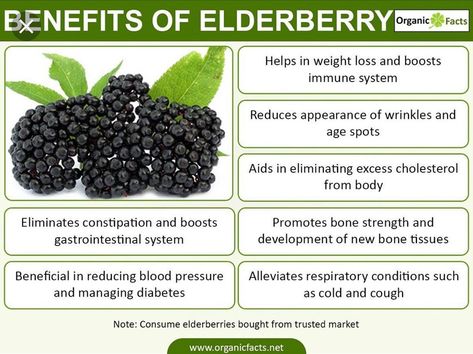 Elderberries Benefits, Benefits Of Elderberry, Elderberry Benefits, Herbal Health, Reducing Blood Pressure, Tomato Nutrition, Calendula Benefits, Fruit Health Benefits, Gastrointestinal System