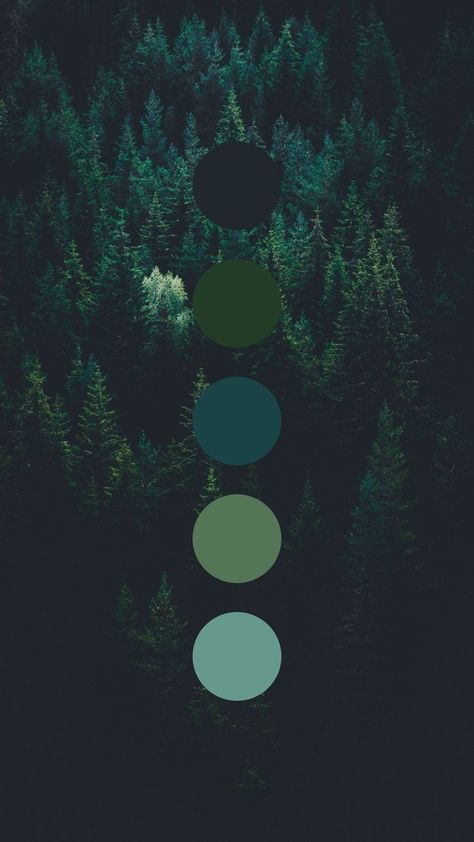 Dark Green Color Palette Colour Schemes, Green And Blue Color Palette, Color Schemes Colour Palettes, Palette Inspiration, Green Colour Palette, Brand Color Palette, Color Palette Design, Color Inspo, Corporate Design