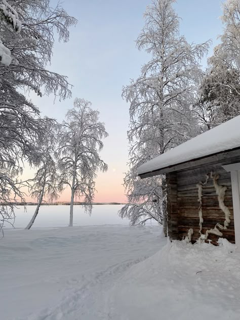 Winter In Finland Aesthetic, Finland In Winter, Light Winter Aesthetic, Finland Winter Aesthetic, Winter In Finland, Finland Aesthetic Winter, Finland Lifestyle, Lapland Finland Aesthetic, Finland Scenery