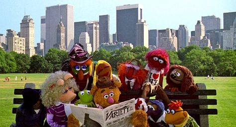 Muppets From Space, Muppets Take Manhattan, Sesame Street Memes, The Bowery Boys, Fozzie Bear, Bert & Ernie, Movies For Boys, Movie Club, Fraggle Rock