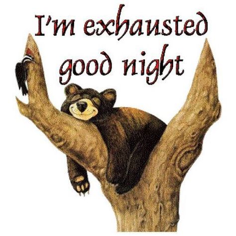 I'm exhausted, good night good night good night quotes good night wishes Funny Good Night Images, I'm Exhausted, Good Night Sleep Tight, Good Night Funny, Good Night Everyone, God Natt, Night Gif, Cute Good Night, Slaap Lekker