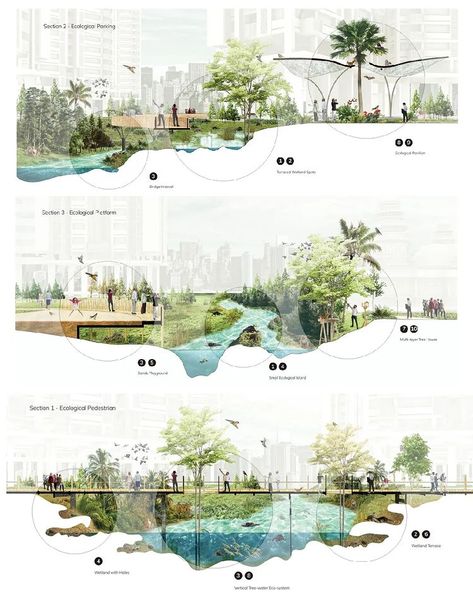 Landscape Architecture Section, Portfolio D'architecture, Landscape Architecture Presentation, Urban Mapping, Landscape Diagram, Urban Wildlife, Landscape Architecture Diagram, Landscape Architecture Graphics, Landscape Architecture Plan