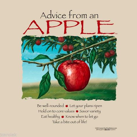 Advice from an Apple T-shirt Earth Sun Moon Fruit Nature XL New with Tags Advice From, Apple Quotes, Baddie Advice, Fruit Quotes, September Ideas, Confidence Motivation, Wisdom Thoughts, Patience Quotes, Kitchen Witchery