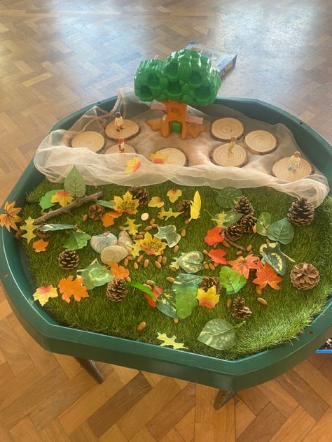 Cable Drum, Tuff Tray, Wood Sticks, Walk In The Woods, Pine Cones, Terrarium, Tray, Nursery, Cable