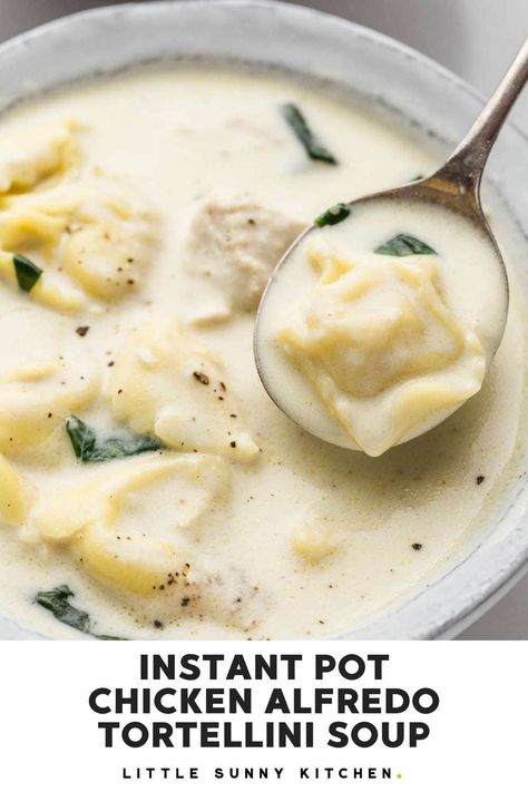 Creamy Tortellini Soup Instant Pot, Ravioli Soup Instant Pot, Instapot Dinner Recipes, Tortellini Soup Instant Pot, Chicken Alfredo Tortellini Soup, Alfredo Tortellini Soup, Instant Pot Tortellini Soup, Creamy Instant Pot Chicken, Chicken Alfredo Tortellini