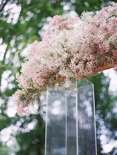 A Whimsical and Intimate Backyard Wedding in Pennsylvania Old Wedding Photos, Chic Backyard, Traditional Invitation, Baby S Breath, Ceremony Arch, Ceremony Flowers, Detail Shots, Large Weddings, City Wedding