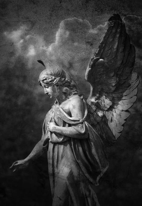 Greek Mythology: “Myrrha, Adonis and Persephone”. (Myths and Interpretation).- | La Audacia de Aquiles Angels Tattoo, Cemetery Angels, Cemetery Statues, Statue Tattoo, Twilight Photos, I Believe In Angels, Greek Statues, Angel Statue, Religious Tattoos