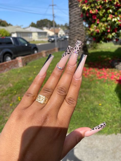 Cheetah Print Nails, Cheetah Nails, Girl Nails, Print Nails, Nails Long, Girls Nails, Cheetah Print, Mid Length, Acrylic Nails