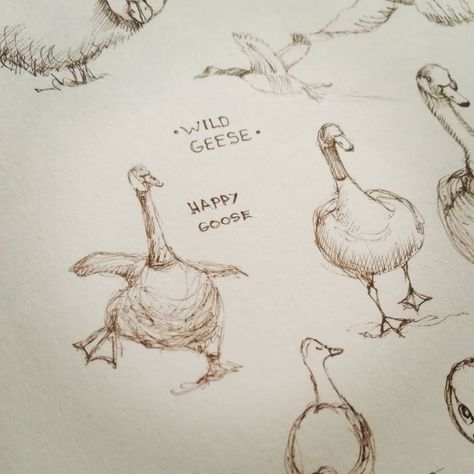 Goose Illustration Drawings, Goose Line Drawing, Goose Art Illustrations, Cute Goose Tattoo, Flying Duck Drawing, Silly Goose Drawing, Goose Drawing Simple, Geese Drawing, Silly Goose Tattoo