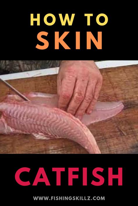 Catfish Tutorial, Fishing Tips And Tricks, Ways To Cook Catfish, Catfishing Tips, Catfish Trap, Homemade Catfish Bait, Best Catfish Bait, Catfish Rigs, How To Catch Catfish