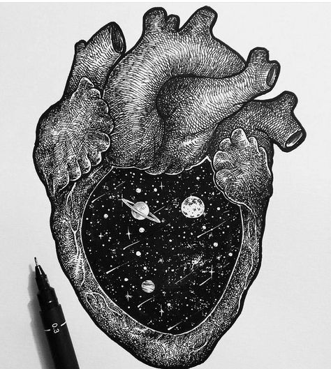 An emptiness to be  explore. Anatomical Heart Art, Anatomical Heart Tattoo, Biology Art, Heart Drawing, Desenho Tattoo, Anatomical Heart, Human Heart, Trippy Art, Anatomy Art