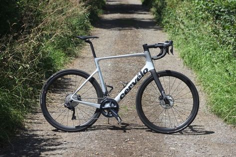 Can the Cervélo Caledonia rival the endurance bike big-hitters? Giant Defy, Trek Townie Bike, Cannondale Mountain Bikes, Head Angles, Endurance Road Bike, Paris Roubaix, Titanium Road Bike, Rough Riders, Carbon Road Bike