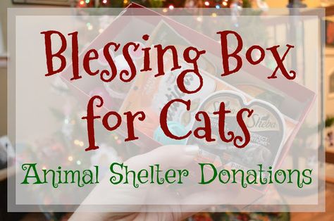 Blessing Box for Cats - Animal Shelter Donations Animal Shelter Christmas Ideas, Pet Donation Box Ideas, Animal Shelter Donation Ideas, Animal Shelter Crafts, Animal Shelter Donations, Animal Shelter Fundraiser, Animal Rescue Ideas, Animal Treats, Shelter Ideas