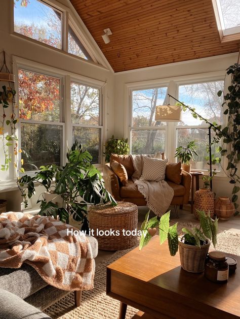 Its taken 2 years but it’s finally the sunroom i’ve always dreamed of ... | Sunroom | TikTok Sunroom Ideas Plants, Plants Sunroom, Sunroom Plants Decor, Sunroom With Plants, Cozy Sunroom Decorating Ideas, Sunroom Plants, Sunroom Layout, Cozy Sunroom Ideas, Sunroom Windows