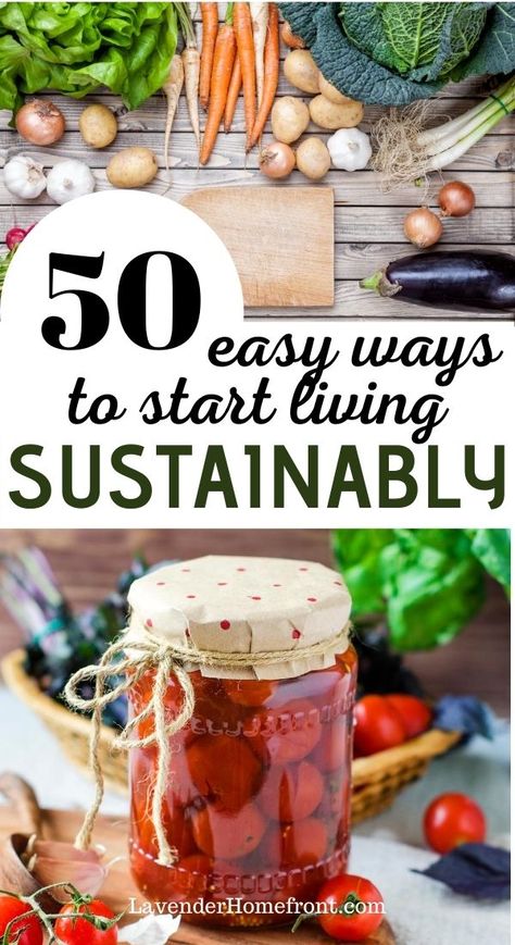 Back To Basics Living, Happy Homemaking, Living Sustainably, Environmentally Friendly Living, Homesteading Diy, Eco Life, Homesteading Skills, Veg Garden, Food System