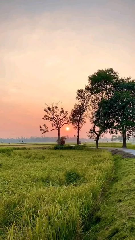 Caption For Village Pics, Village Caption For Instagram, Village Life Videos, Morning Vibes Video, Village Life Aesthetic, Nepal Video, Village Video, Village Aesthetic, Sunset Captions For Instagram