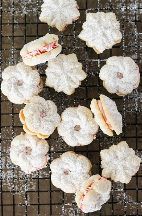 Make these cute (and delicious!) little Peppermint Spritz Sandwich Cookies for the holidays! A buttery vanilla cookie sandwiched together with a creamy peppermint buttercream icing. So good. Christmas Ham Recipes, Mexican Hot Chocolate Cookies, Spritz Cookie Recipe, Delicious Christmas Cookies, Hot Chocolate Cookies, Spritz Cookies, Pretty Life, Mexican Hot Chocolate, Best Christmas Cookies