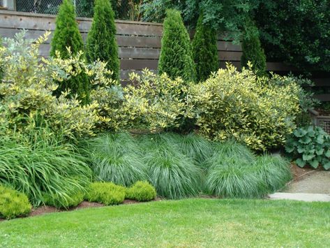 Seattle Garden Design, Seattle Landscaping Ideas, Pnw Landscape Design, Seattle Landscaping, Evergreen Landscape Front Yard, Seattle Landscape, Seattle Garden, Pnw Garden, Tiny Backyard